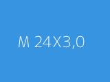 M 24X3,0 